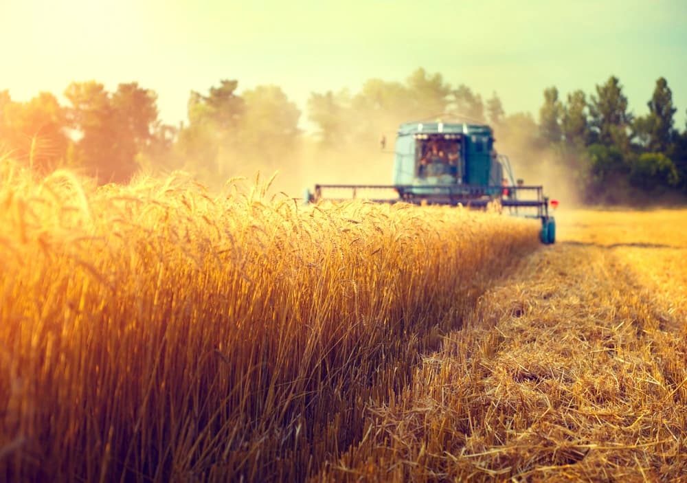 Avanzando en la Innovación Agrícola