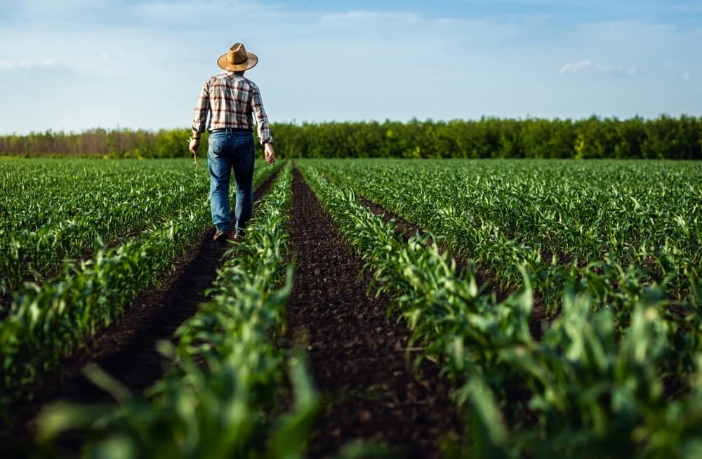 Apoyando a Pequeños Agricultores