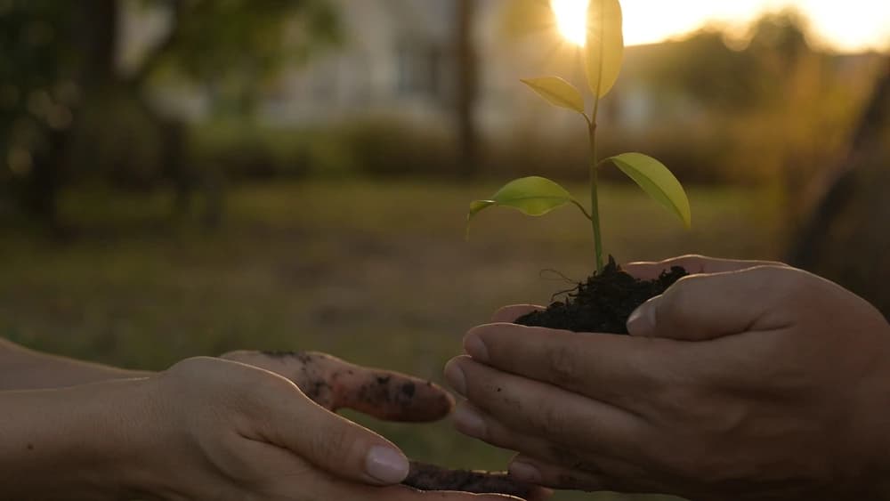 Agricultura Más Verde para un Mejor Futuro