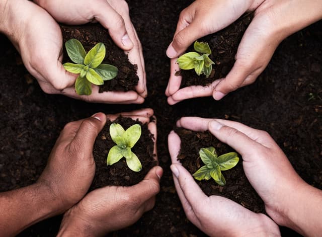 Aplicación de comunidad agrícola