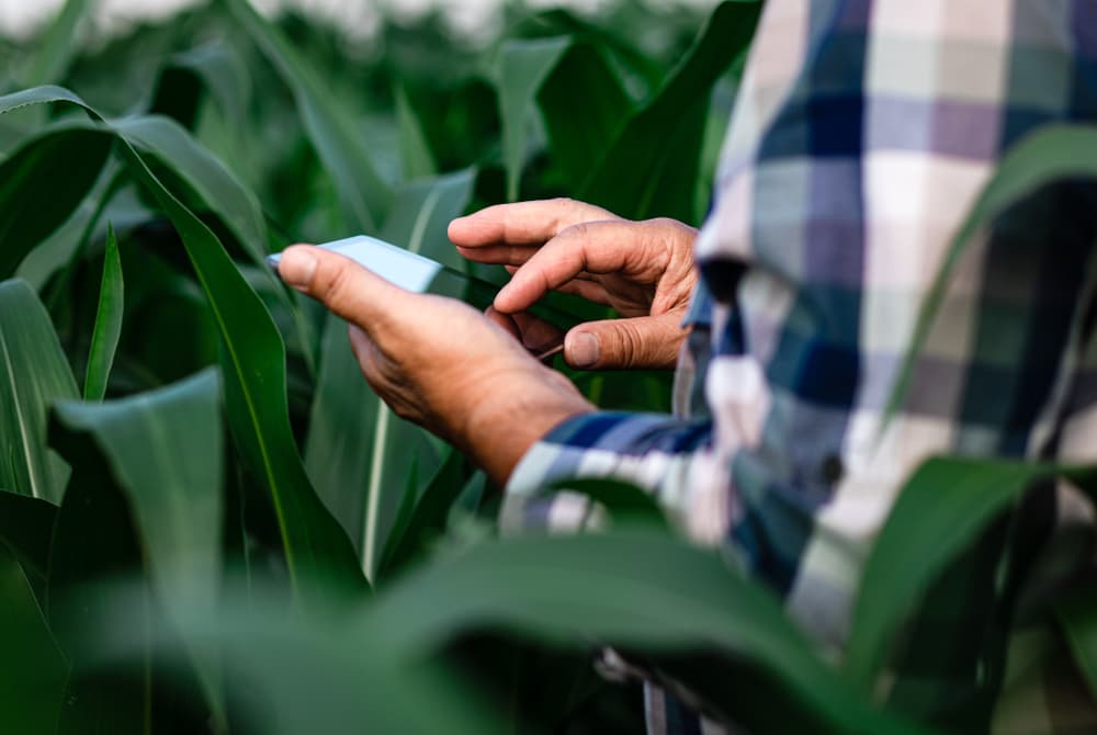 Dron agrícola escaneando cultivos para análisis de salud en tiempo real