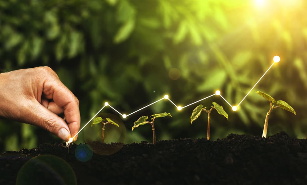 Cita sobre inversión agrícola